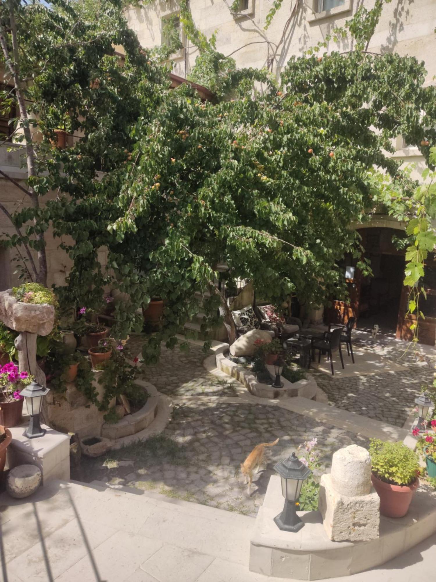 Luwian Stone House Hotel Göreme Ngoại thất bức ảnh